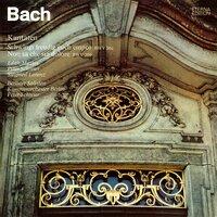 Bach: Schwingt freudig euch empor, BWV 36c / Non sa che sia dolore, BWV 209