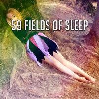 59 Fields of Sleep