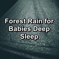 Forest Rain for Babies Deep Sleep