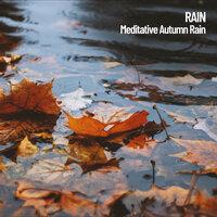 Rain: Meditative Autumn Rain