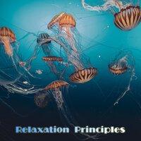 Relaxation Principles