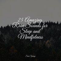 25 Amazing Rain Sounds for Sleep and Mindfulness