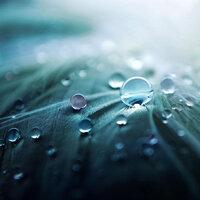 30 Ambient Loopable Rain Sounds for Deep Sleep Therapy