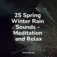 25 Spring Winter Rain Sounds - Meditation and Relax