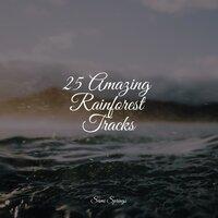 25 Amazing Rainforest Tracks