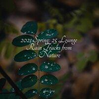 2021 Spring: 25 Lounge Rain Tracks from Nature