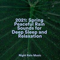 2021: Spring Peaceful Rain Sounds for Deep Sleep and Relaxation