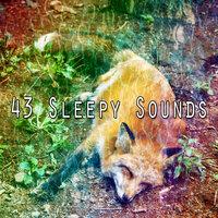 43 Sleepy Sounds