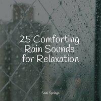 25 Comforting Rain Sounds for Relaxation