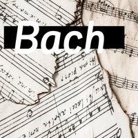 Brandenburg Concerti Bach