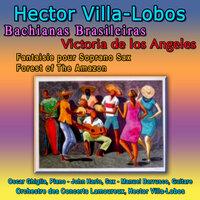Hector Villa-Lobos - Bachianas Brasileiras