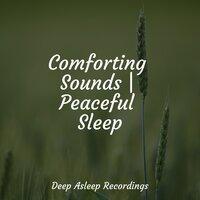 Comforting Sounds | Peaceful Sleep