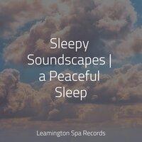 Sleepy Soundscapes | a Peaceful Sleep