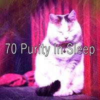 70 Purity in Sleep