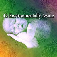 42 Environmentally Aware