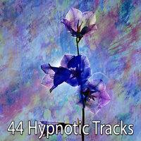 44 Hypnotic Tracks