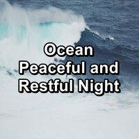 Ocean Peaceful and Restful Night
