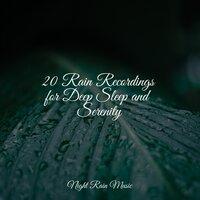 20 Rain Recordings for Deep Sleep and Serenity