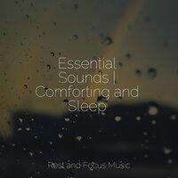Essential Sounds | Comforting and Sleep