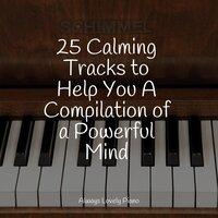 25 Calming Tracks to Help You A Compilation of a Powerful Mind