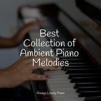 Best Collection of Ambient Piano Melodies