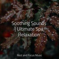 Soothing Sounds | Ultimate Spa Relaxation