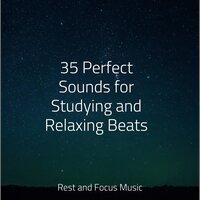 35 Perfect Sounds for Studying and Relaxing Beats