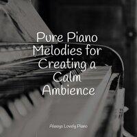 Pure Piano Melodies for Creating a Calm Ambience