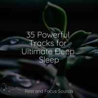 35 Powerful Tracks for Ultimate Deep Sleep