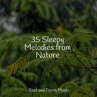 35 Sleepy Melodies from Nature