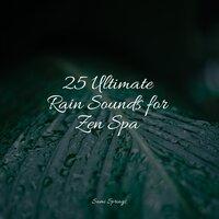 25 Ultimate Rain Sounds for Zen Spa