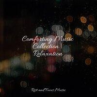 Comforting Music Collection | Relaxation