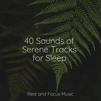 40 Sounds of Serene Tracks for Sleep