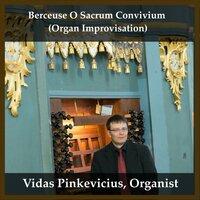 Berceuse O Sacrum Convivium (Organ Improvisation)