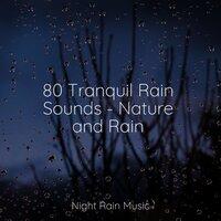 80 Tranquil Rain Sounds - Nature and Rain