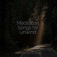 Meditation Songs for Unwind