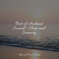 Best of Ambient Sounds | Sleep and Serenity