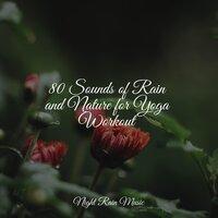 80 Sounds of Rain and Nature for Yoga Workout