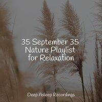 35 September 35 Nature Playlist for Relaxation