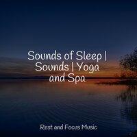 Sounds of Sleep | Sounds | Yoga and Spa