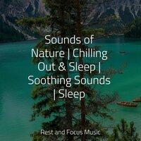 Sounds of Nature | Chilling Out & Sleep | Soothing Sounds | Sleep