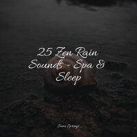 25 Zen Rain Sounds - Spa & Sleep