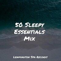 50 Sleepy Essentials Mix