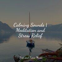 Calming Sounds | Meditation and Stress Relief