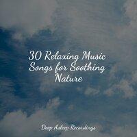 30 Relaxing Music Songs for Soothing Nature