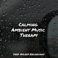 Calming Ambient Music Therapy