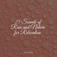 25 Sounds of Rain and Nature for Relaxation
