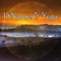 15 Природа и йога