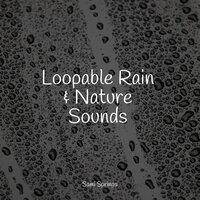 Loopable Rain & Nature Sounds