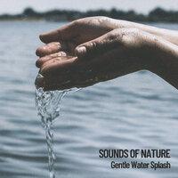 Sounds of Nature: Gentle Water Splash, Relaxing Water melodies
